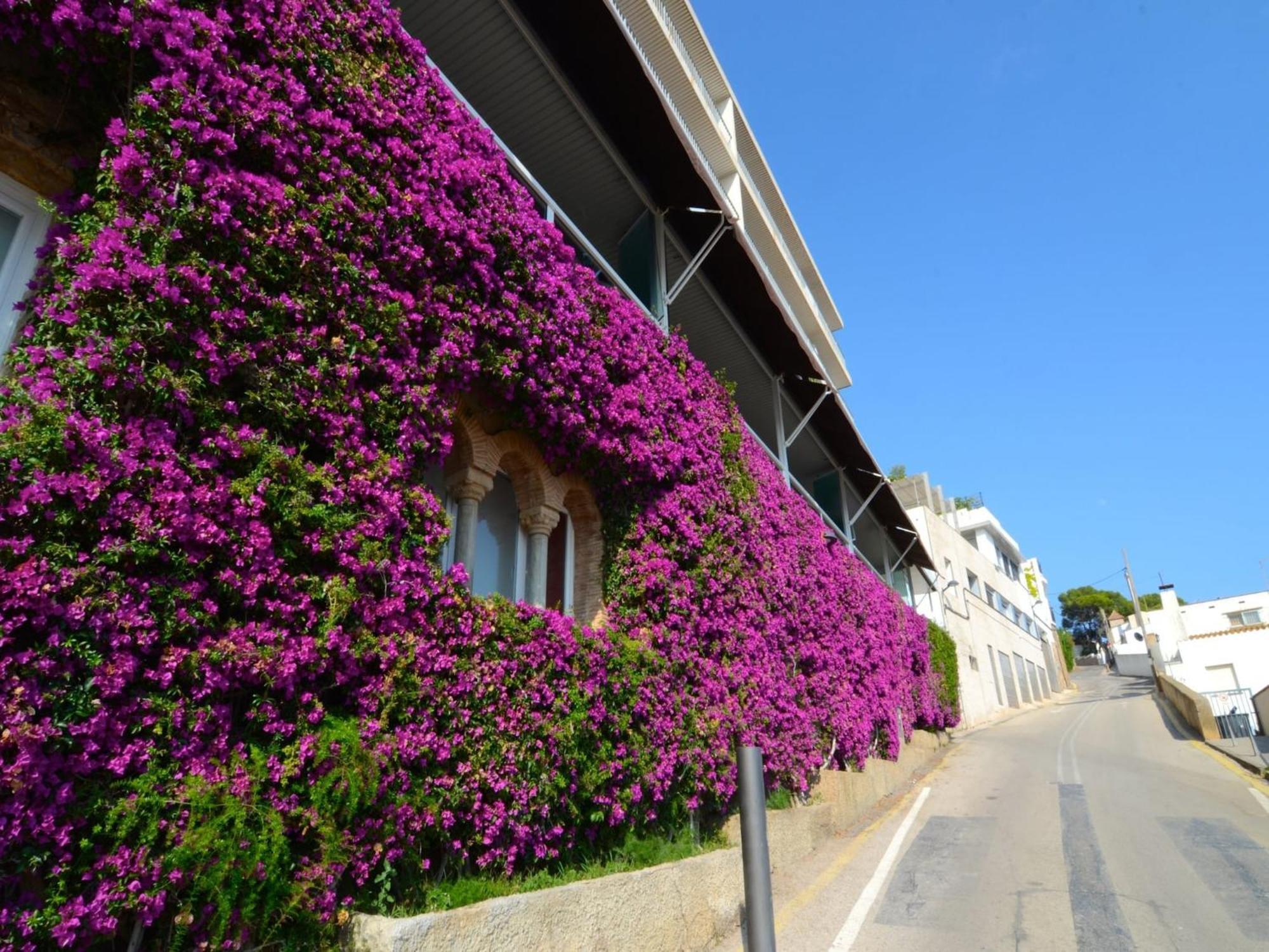 The Apartment In Estartit L'Estartit Exterior photo